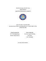 Báo cáo thực tập tổng hợp  công ty cổ phần đầu tư và phát triển công nghệ soft việt