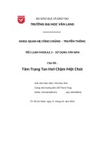 Tiểu luận module 3 – sử dụng văn bản chủ đề tâm trạng tan hơi chậm một chút