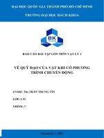 Báo cáo bài tập lớn môn vật lý 1 vẽ quỹ đạo của vật khi có phương trình chuyển động