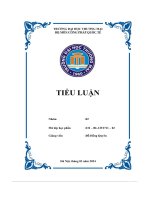 Tiểu luận bình luận và phân tích làm rõ các quan điểm sau cá nhân có thể trở thành chủ thể của luật quốc tế