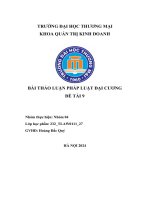 Bài thảo luận pháp luật đại cương đề tài 9  lấy ví dụ một tình huống vi phạm pháp luật và phân tích các yếu tố cấu thành vi phạm pháp luật trong tình huống đó