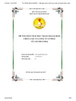 ĐỀ TÀI PHÂN TÍCH C TR NHTHỰ ẠNG HOẠCH ĐỊ CHIẾN LƯỢC CỦA CÔNG TY CỔ PHẦN S A TH TRUE MILK