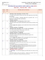 Giáo án dạy thêm (kế hoạch bài buổi 2) Tiếng anh 8 Global success