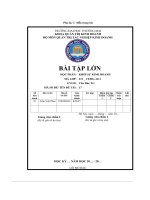 Bài tập lớn khởi sự kinh doanh mô hình disc và kế hoạch cá nhân