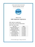 TIỂU LUẬN TIẾP THỊ BẰNG NỘI DUNG MÔN DIGITAL MARKETING