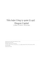 (Tiểu luận) tiểu luận công ty quản lý quỹdragon capital