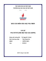 Báo cáo môn hóa học polymer chủ đề polyethylene mật độ cao (hdpe)