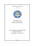 Bài thảo luận pháp luật đại cương anh chị hãy chỉ ra cc hình pht bổ sung trong hệ thống hình pht được quy định trong bộ luật hình sự năm 2015