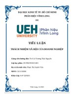 Phân tích trách nhiệm xã hội nêu bật ý nghĩa của trách nhiệm xã hội của doanh nghiệp cũng như vai trò của đạo đức kinh doanh, văn hóa doanh nghiệp