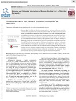 Immune and metabolic interactions of human erythrocytes a molecular perspective