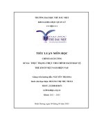 Đề Tài Thực Trạng Thực Thi Chính Sách Bảo Vệ Trẻ Em Ở Việt Nam Hiện Nay.pdf