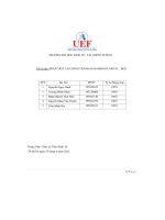 (Tiểu luận) tiểu luận phân tích tài chính tập đoàn bamboo capital   bcg