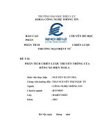 PHÂN TÍCH CHIẾN LƯỢC TRUYỀN THÔNG CỦA HÃNG XE ĐIỆN TESLA