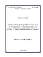 Luận văn thạc sĩ Luật học: Tội giao cấu hoặc thực hiện hành vi quan hệ tình dục khác với người từ đủ 13 đến dưới 16 tuổi trong Bộ Luật Hình sự năm 2015