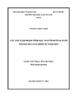 Luận văn thạc sĩ Luật học: Các tội xâm phạm tình dục người dưới 16 tuổi trong Bộ luật Hình sự năm 2015