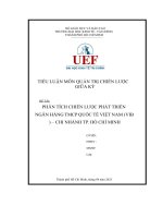 (Tiểu luận) phân tích chiến lược phát triểnngân hàng tmcp quốc tế việt nam (vib) – chi nhánh tp  hồ chí minh