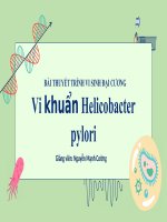 BÀI THUYẾT TRÌNH VI SINH ĐẠI CƯƠNG Vi khuẩn Helicobacter pylori