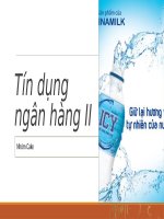Xây dựng ngân sách tiền hàng tháng của doanh nghiệp và đánh giá dòng tiền của công ty