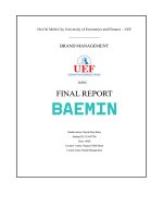 (Tiểu luận) topicfinal report  baemin