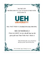 (Tiểu luận) phân tích swot và các vấn đề thực tại cần  giải quyết của thừa thiên huế