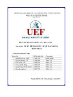 (Tiểu luận) chủ đề  phân tích chiến lược tập đoàn hòa phát