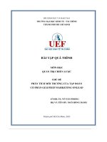 (Tiểu luận) chủ đề phân tích môi trường của tập đoàn  cổ phần giải pháp marketing onlead