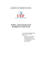 (Tiểu luận) topic life insurancemarket in vietnam