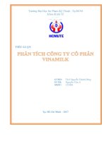 Tiểu luận phân tích công ty cổ phần vnm