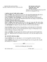 Thcs nguyễn xuân nguyên