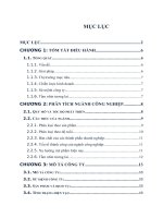 Tiểu luận chiến lược kinh doanh orgabeauty