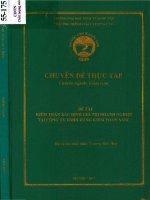 Chuyên đề thực tập: Kiểm toán xác định giá trị doanh nghiệp tại Công ty TNHH hãng kiểm toán AASC