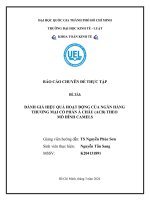 ĐÁNH GIÁ HIỆU QUẢ HOẠT ĐỘNG CỦA NGÂN HÀNG THƯƠNG MẠI CỔ PHẦN Á CHÂU (ACB) THEO MÔ HÌNH CAMELS