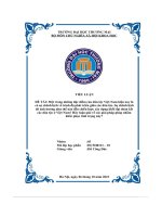 ĐỀ TÀ  Một trong những đặc điểm của dân tộc Việt Nam hiện nay làcó sự chênh lệch về trình độ phát triển giữa các dân tộc Sự chênh lệchđó ảnh hưởng như thế nào đến chiến lược xây dựng khối đại đoàn kết 