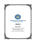 Học phần thương mại điện tử căn bản đề tài thảo luận phân tích mô hình kinh doanh airbnb