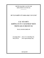 Đề tài nghiên cứu khoa học cấp Trường: Các tổ chức không có tư cách pháp nhân trong quan hệ dân sự