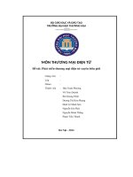 Môn thương mại điện tử đề tài phát triển thương mại điện tử xuyên biên giới
