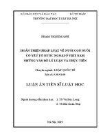 Luận án tiến sĩ Luật học: Hoàn thiện pháp luật về nuôi con nuôi có yếu tố nước ngoài ở Việt Nam - Những vấn đề lý luận và thực tiễn