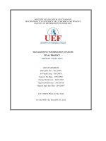 (Tiểu luận) management information systemsfinal projectgoogle analytics