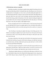 Sáng kiến kinh nghiệm toán THPT
