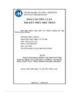 (Tiểu luận) phân tích hoạt động csr theo mô hình kim tự tháp của archie b  carroll tại ngân hàng tmcp phát triển thành phố hồ chí minh