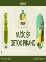 Khởi sự kinh doanh dự án nước ép detox pikaho