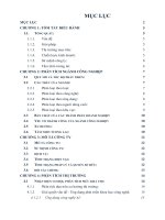 Tiểu luận chiến lược kinh doanh smart parking