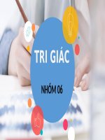 Thuyết trình tâm lý học ứng dụng