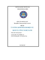 Đề tài ý tưởng kinh doanh điện tử dịch vụ công nghệ xanh