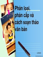 Bài giảng PHÂN LOẠI phân cấp và cách soạn thảo VĂN BẢN


