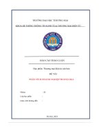 Báo cáo thảo luận phân tích doanh nghiệp traveloka