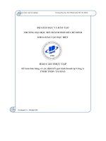 (Tiểu luận) báo cáo thực tập kế toán bán hàng và xác định kết quả kinh doanh tại công tytnhh tmdv tài bảo
