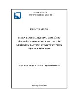 Chiến lược marketing cho dòng sản phẩm thời trang nam cao cấp merriman tại tổng công ty cổ phần dệt may hòa thọ