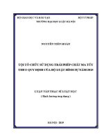 Luận văn thạc sĩ Luật học: Tội tổ chức sử dụng trái phép chất ma túy theo quy định của Bộ luật Hình sự năm 2015