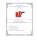 Hồ sơ báo cáo thực tập lĩnh vực  kỹ năng nghề nghiệp của luật sư